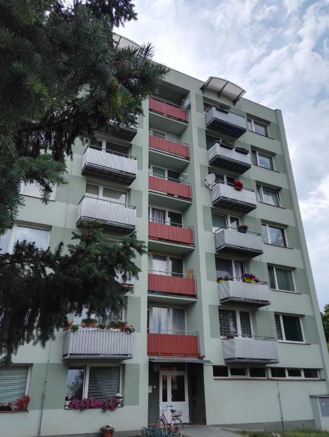 Apartman-Trebon-Centrum Buitenkant foto